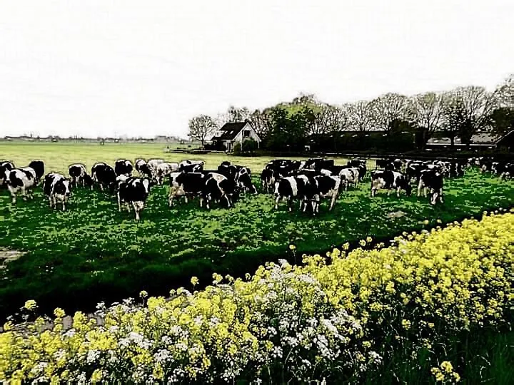 City Farmer Farmyard Stays, Sleep Easy, Stay Rural, Explore Amsterdam 0*,  Netherlands