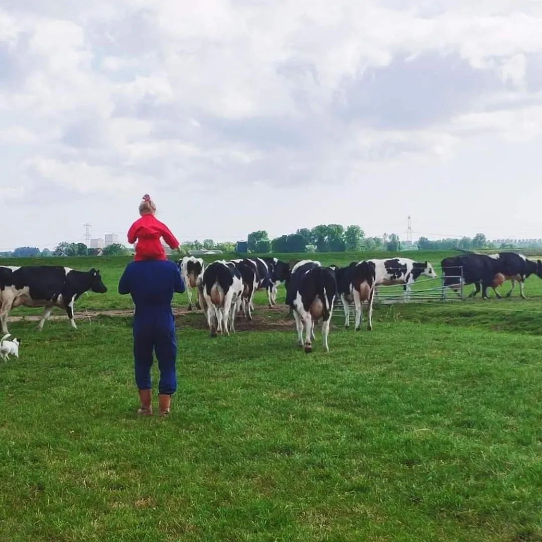 City Farmer Farmyard Stays, Sleep Easy, Stay Rural, Explore Amsterdam Netherlands